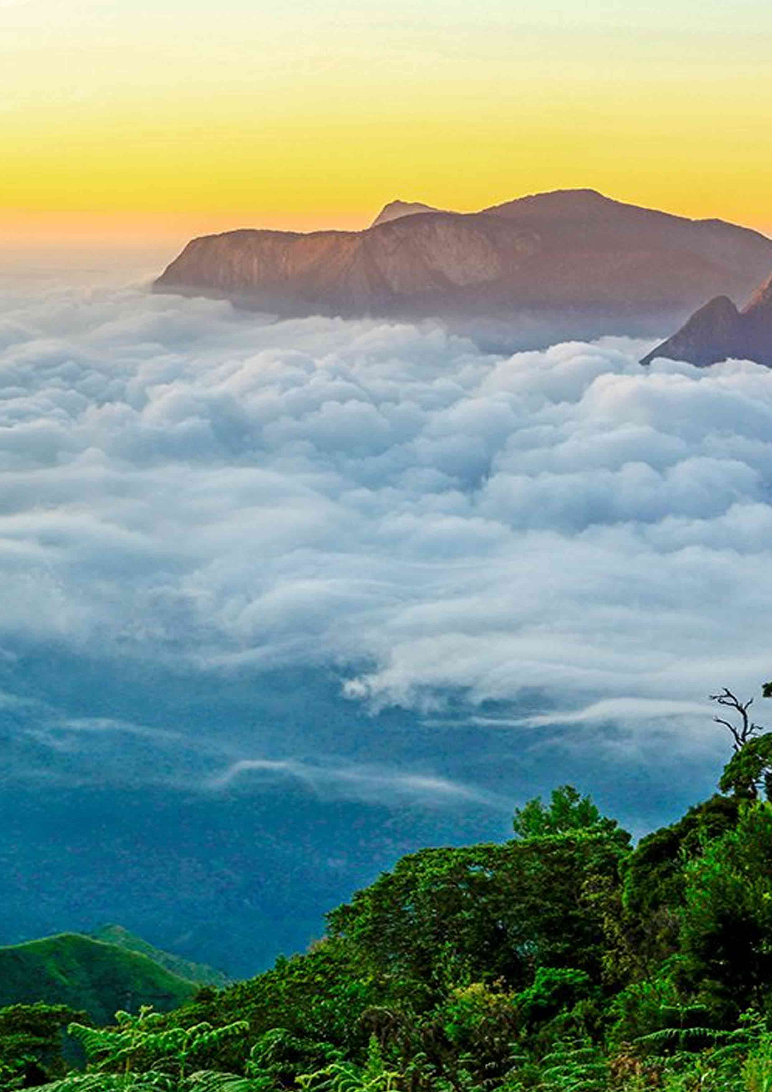 Munnar